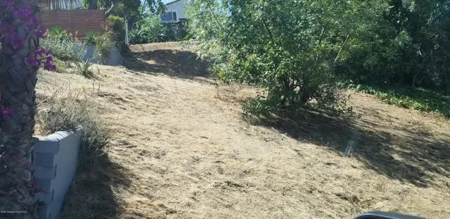 Lavell Drive photo 3