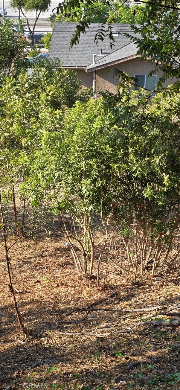 3717 Woolwine Drive photo 3