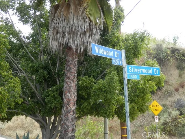 Wildwood photo 5