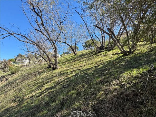 3732 N Knobhill Drive photo 2