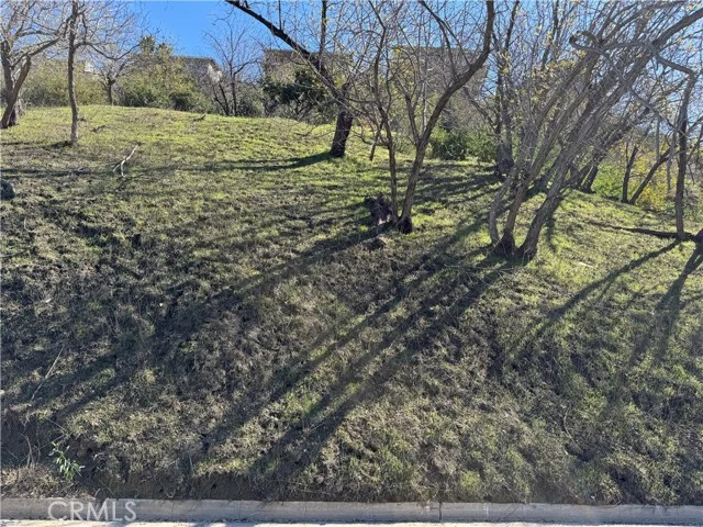 3732 N Knobhill Drive photo 3