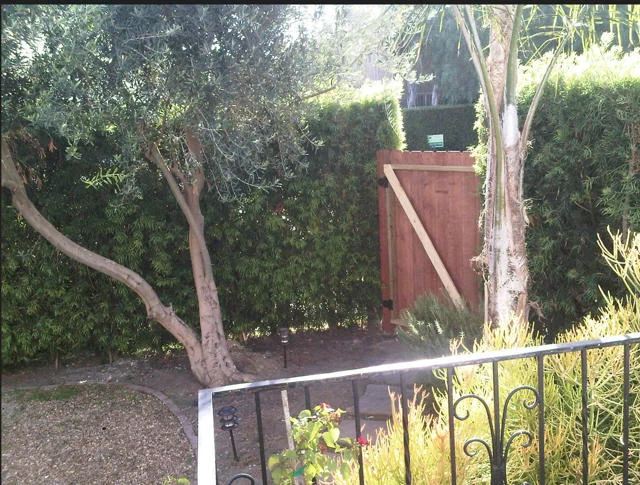 2227 S Redondo Boulevard photo 3