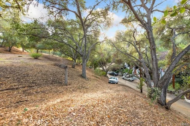 Elzevir Rd & Morro Dr Road photo 2