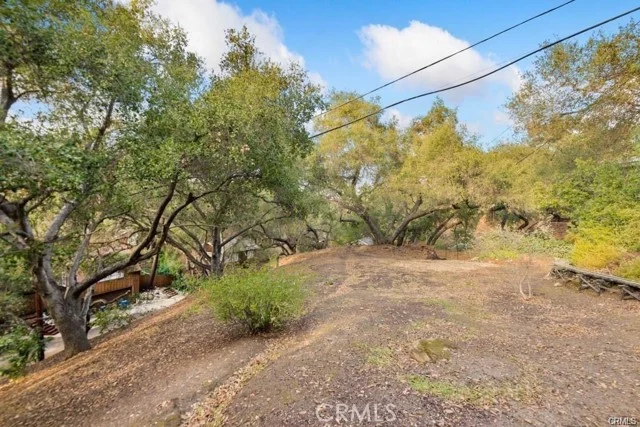 Elzevir Rd & Morro Dr Road photo 3
