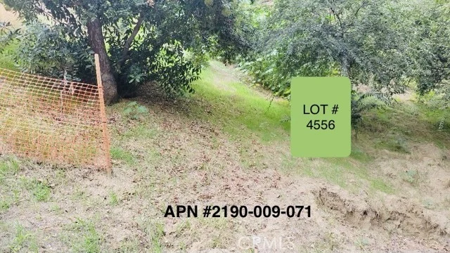 4556 Ensenada Drive photo 2