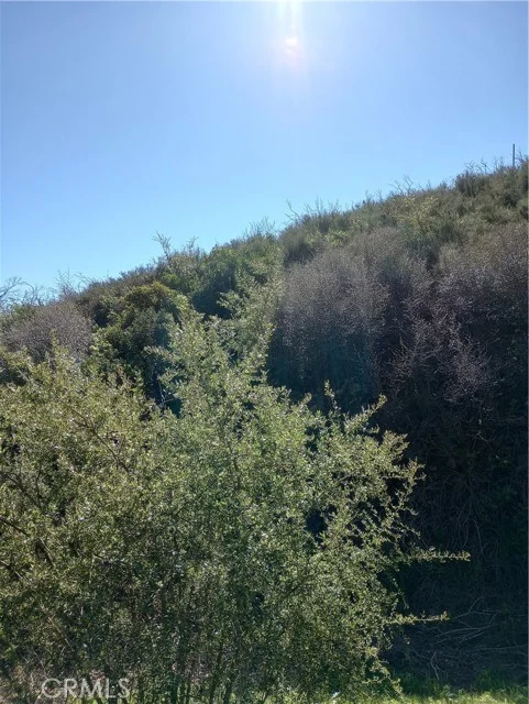 Old Chimney Road photo 2