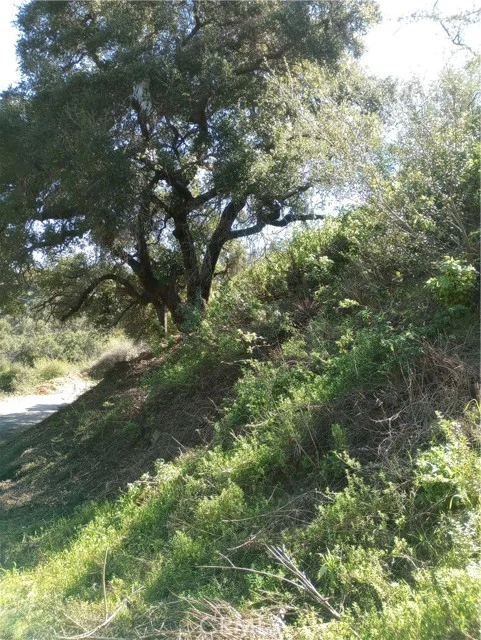Old Chimney Road photo 3