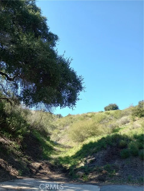 Old Chimney Road photo 4