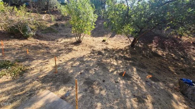 4637 Loleta Place photo 4