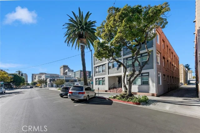 319 Elm photo 4