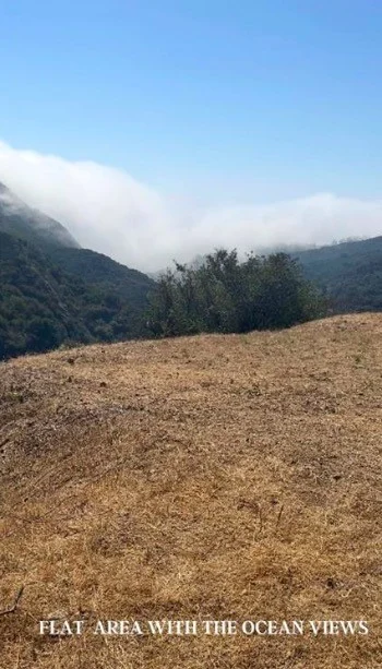 2906 Las flores canyon rd photo 2