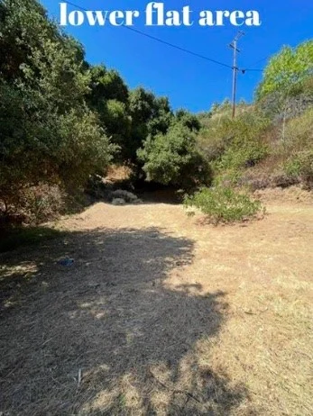 2906 Las flores canyon rd photo 4