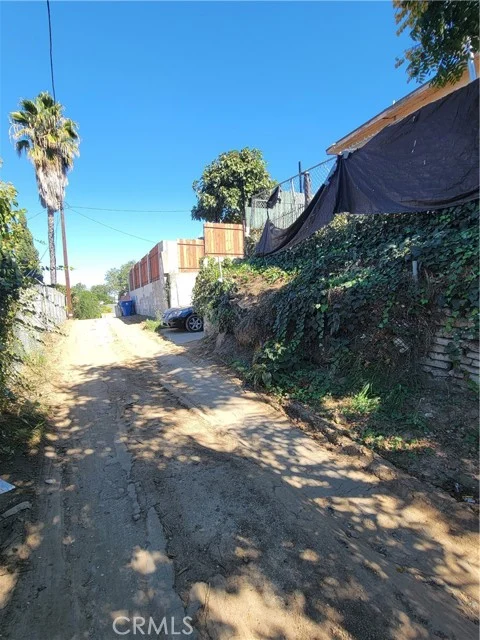 473 Savannah photo 5