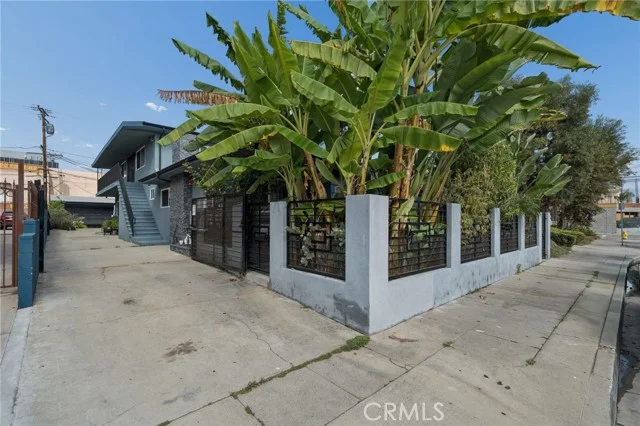11617 Acacia photo 2