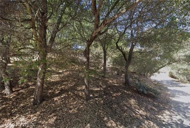 625 Falls Drive photo 2
