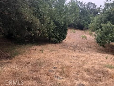 3708 Richardson Drive photo 2
