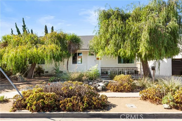 4410 Rosada Street photo 3