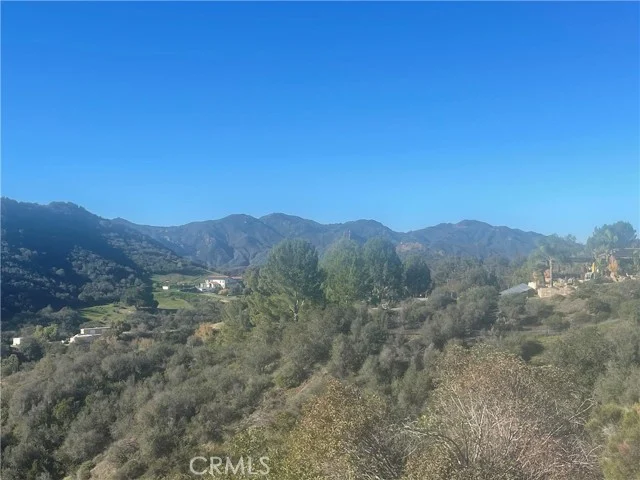25066 Mulholland Hwy photo 5