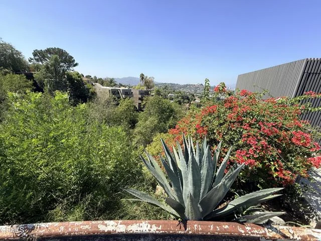 Olancha Drive photo 4
