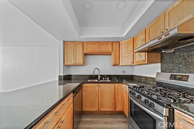 918 W College Street #316 photo 5