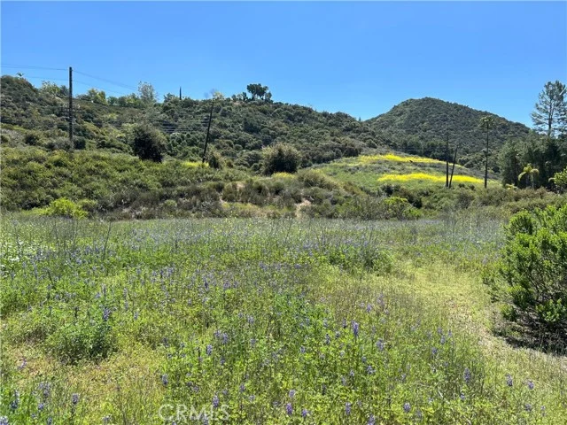 24201 Mulholland Highway photo 2