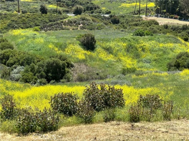 24201 Mulholland Highway photo 4