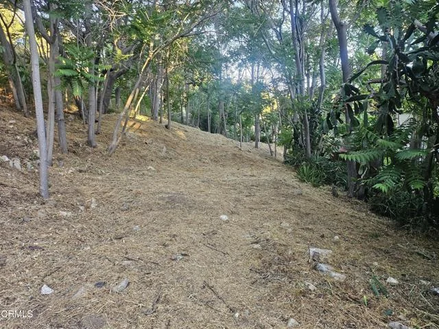 200 S Avenue 63 photo 3