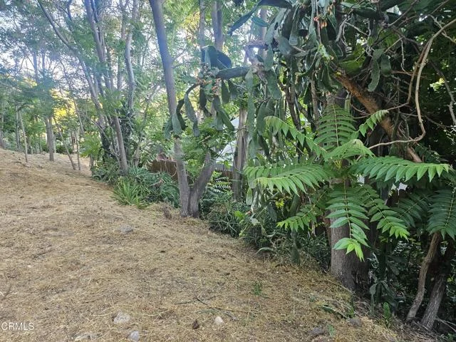 200 S Avenue 63 photo 4