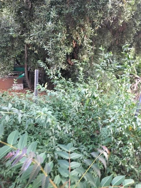 Edendale Place photo 2