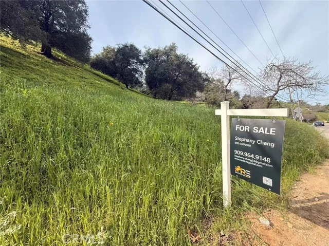 3669 Coldwater Canyon Avenue photo 2