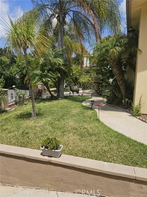3946 Knobhill Drive photo 2