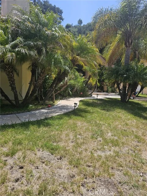3946 Knobhill Drive photo 3