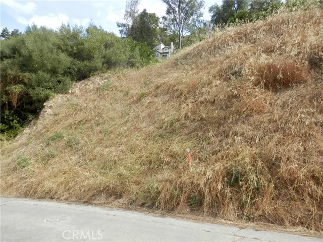 Dimmick Drive photo 2