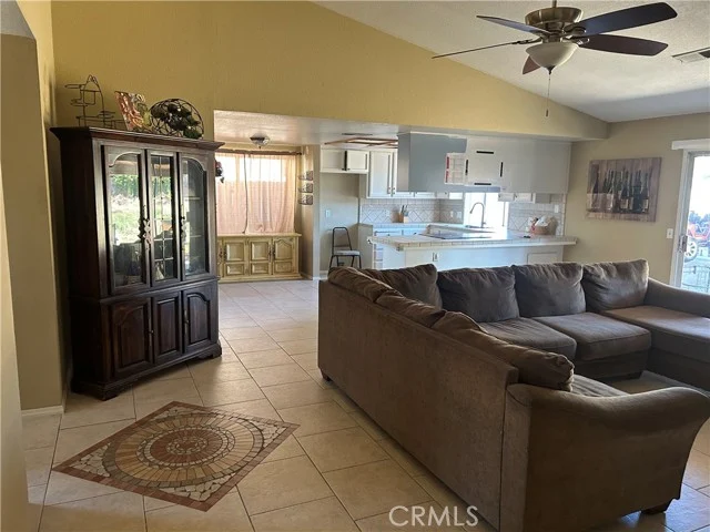 249 Live Oak photo 5