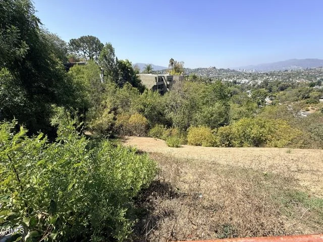 Olancha Drive photo 2