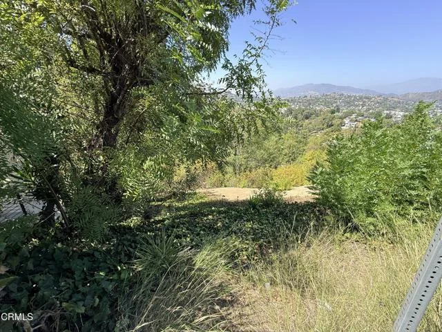 Olancha Drive photo 3