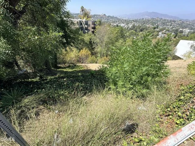 Olancha Drive photo 4