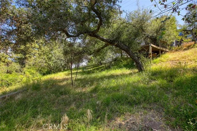 6937 Woodrow Wilson Drive photo 4