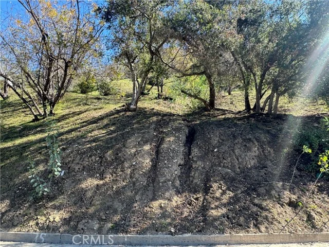 3724 N Knobhill Drive photo 2