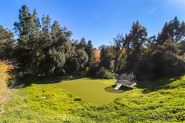 4620 Caritina photo 4