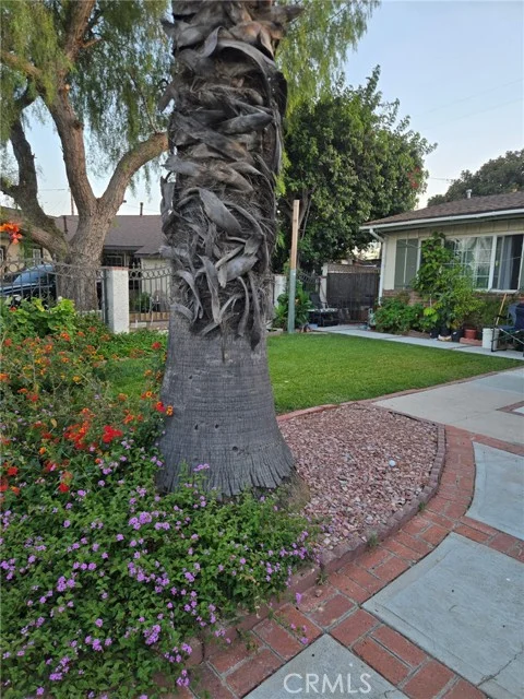 7827 Bakman photo 3