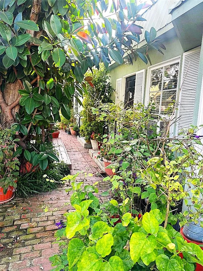 947 Manhattan Beach photo 4