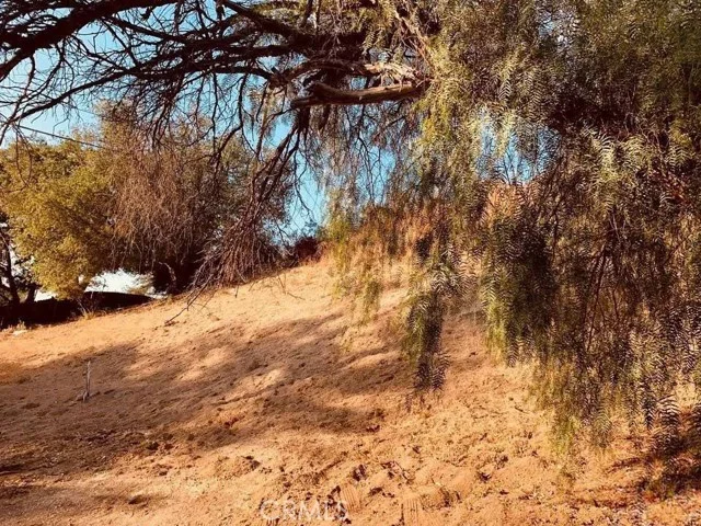 20927 Calimali Road photo 4