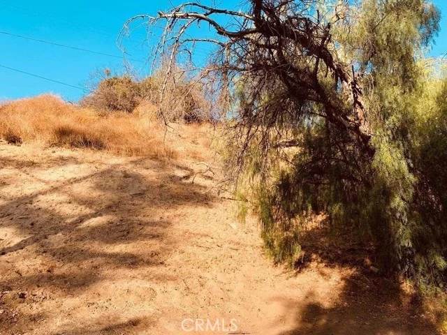 20927 Calimali Road photo 5