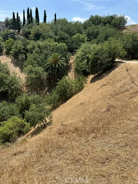 near paradise Dr photo 5