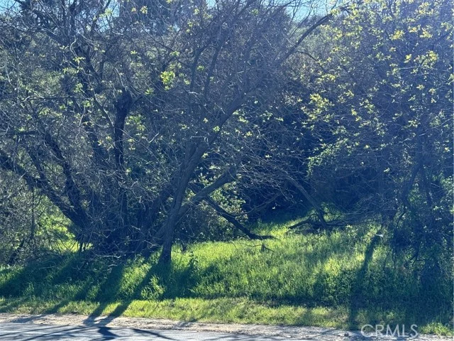 3300 N Topanga Canyon Blvd photo 3