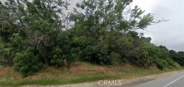 3300 N Topanga Canyon Blvd photo 5