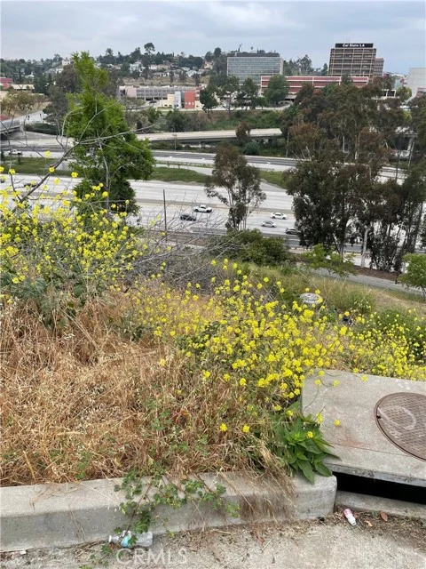 4433 Hayes photo 2