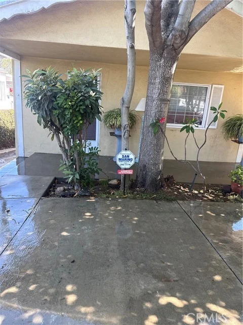 4445 Mont Eagle photo 3