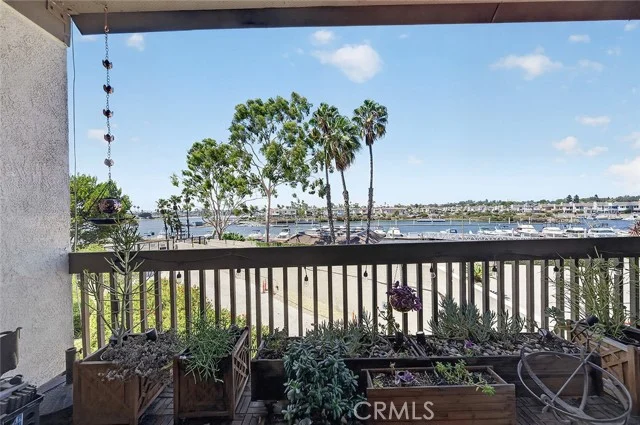 5201 S Marina Pacifica Drive S photo 3